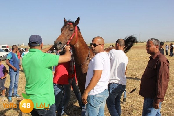 horse race 0602 (20).JPG